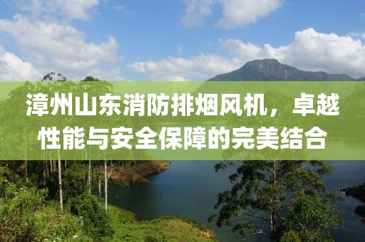 漳州山东消防排烟风机，卓越性能与安全保障的完美结合