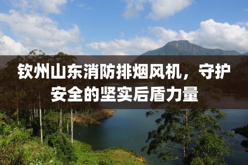 钦州山东消防排烟风机，守护安全的坚实后盾力量